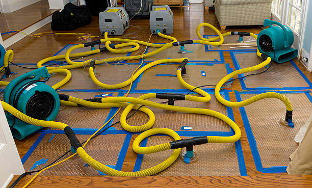 Professional Burst Pipe Water Damage technician working in Quaker City, OH