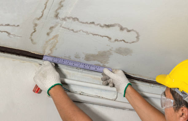 Affordable Water Damage Repair solutions in Quaker City, OH